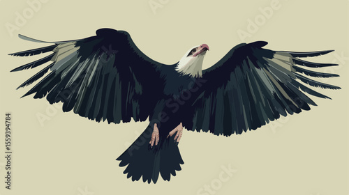 Flying Andean Condor Bird Vector Illustration
