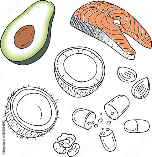 Healthy food ingredients avocado salmon coconut nuts capsules illustration vector 