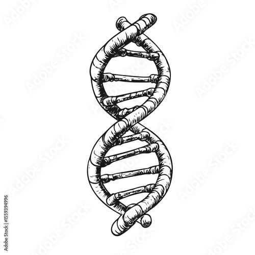 DNA Cartoon Vector Illustration in Black and White