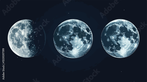 Four Moon Phases Set Flat Vector Illustration