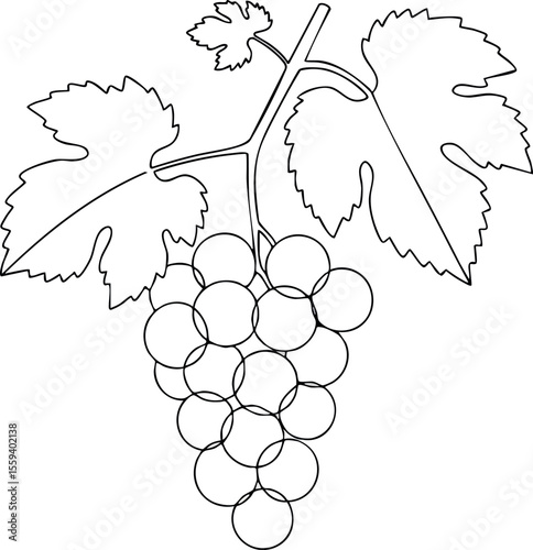 Grape bunch with vine leaves simple black outline vector illustration drawing natural food concept 