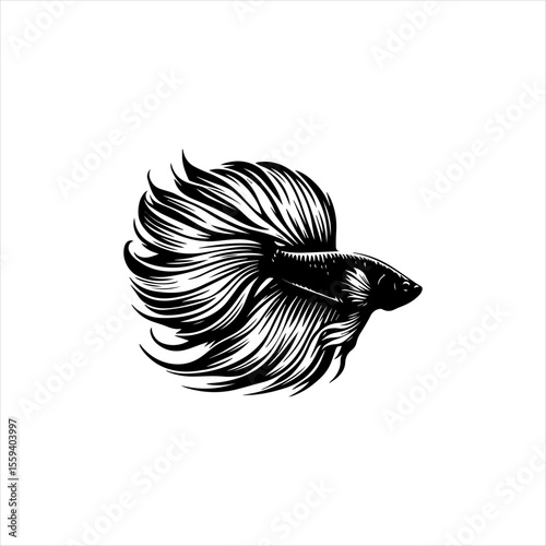 A detailed monochrome illustration of a Betta fish with flowing fins and tail, presented in a stylized, artistic manner.