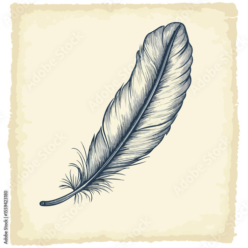 Feather Writing on Old Paper Cartoon Vector and Illustration