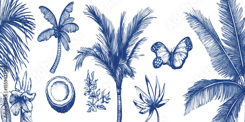 Tropical Paradise Illustration