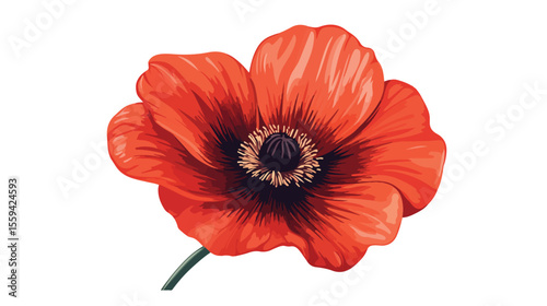Colorful Flower Vector Kid Drawing Isolated on White Background