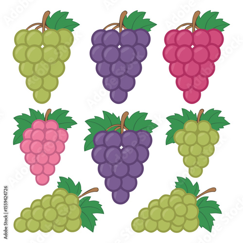 Illustration of grapes bunches in different colors, grape varieties and types