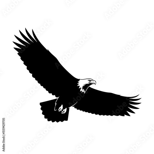 Illustration of an eagle soaring with its wings spread widely in a majestic flight across the sky
