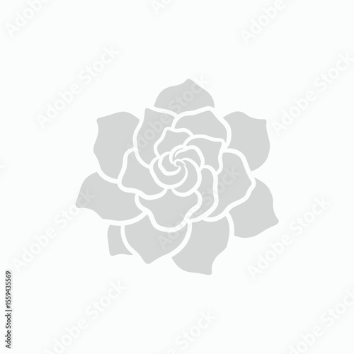A stylized light gray succulent illustration viewed from above on a plain white background
