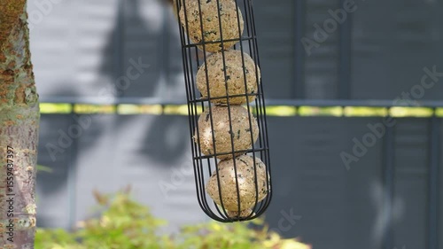 several small birds eating at a feeding station hanging from a tree