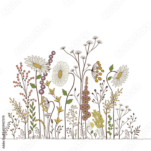 Abstract colorful flowers on white background