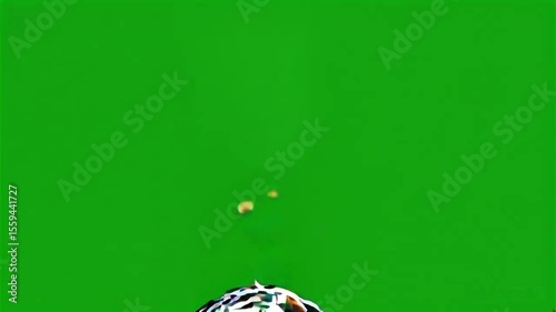 Natural element effects against a green screen