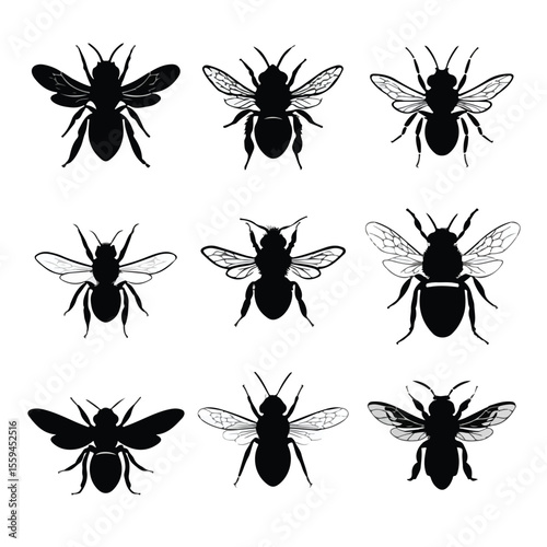 bee silhouette set, Black & White silhouette set