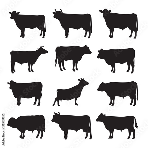 beef cattle silhouette set, Black & White silhouette set 