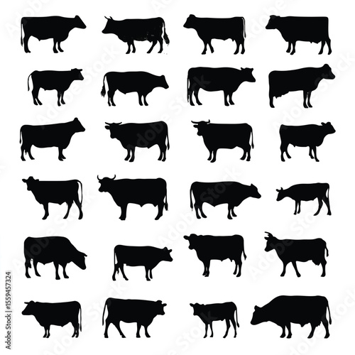 beef cattle silhouette set, Black & White silhouette set 