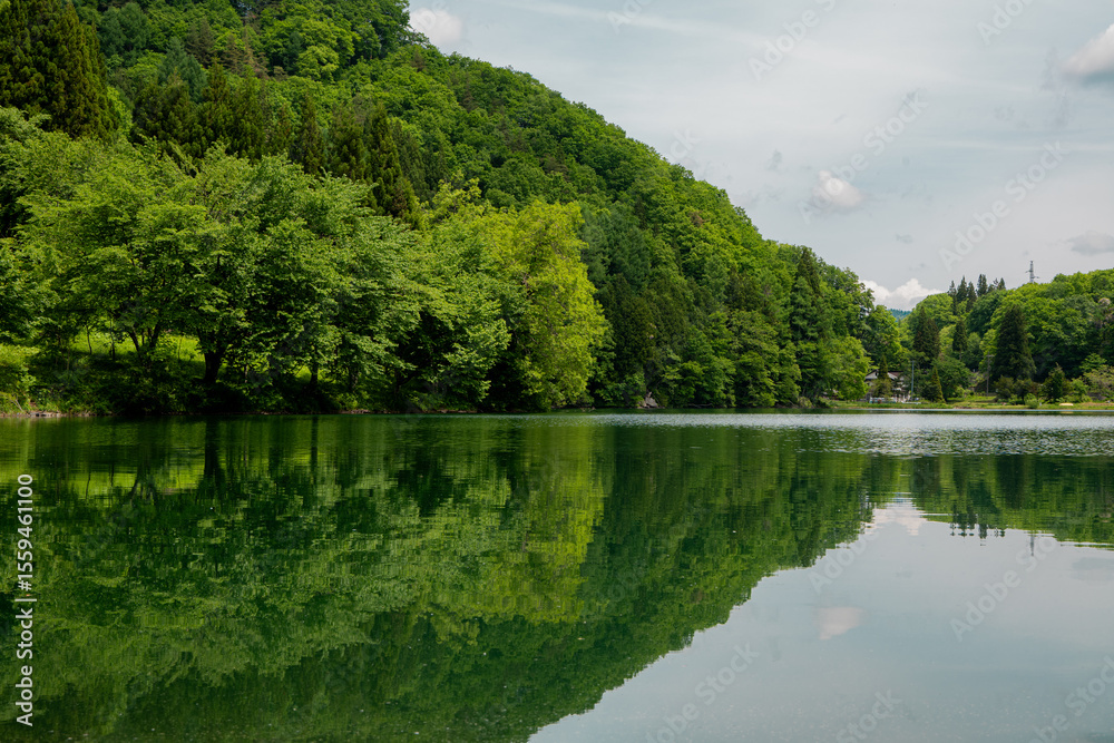 Fototapeta premium 湖面に映る新緑の森 中綱湖 長野県大町市