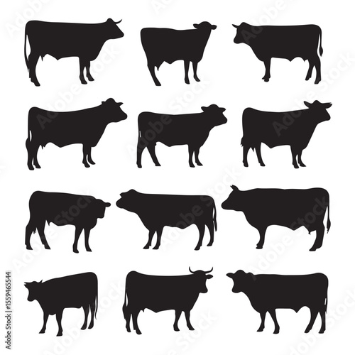 beef steer silhouette set, Black & White silhouette set 