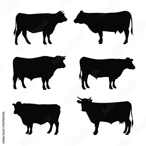 beef steer silhouette set, Black & White silhouette set 