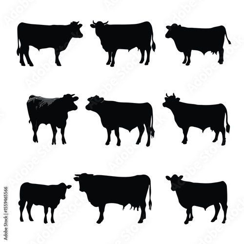 beef steer silhouette set, Black & White silhouette set 