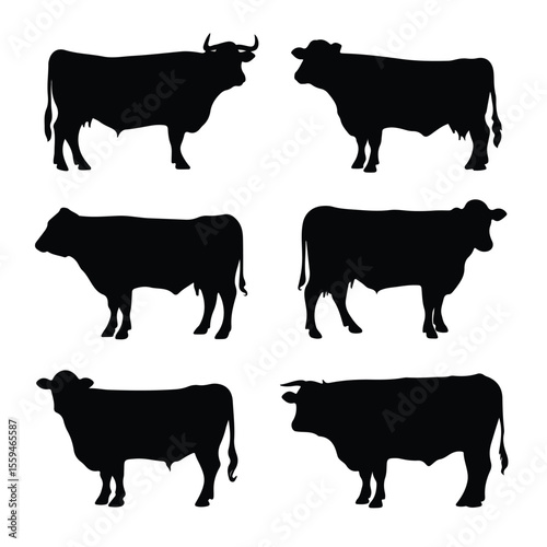 beef steer silhouette set, Black & White silhouette set 