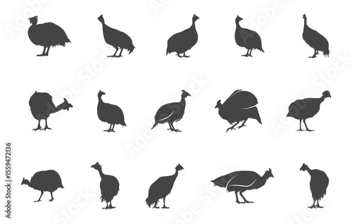 Guinea fowl silhouette, Guinea fowl svg, Helmeted guinea fowl svg, Guinea svg, Fowl svg, Helmeted guinea fowl silhouette. 
