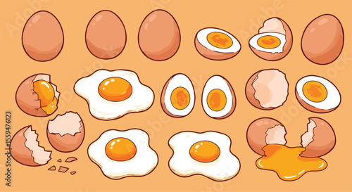 Set of Egg Illustrations - Whole, Cracked, Fried, and Boiled Eggs