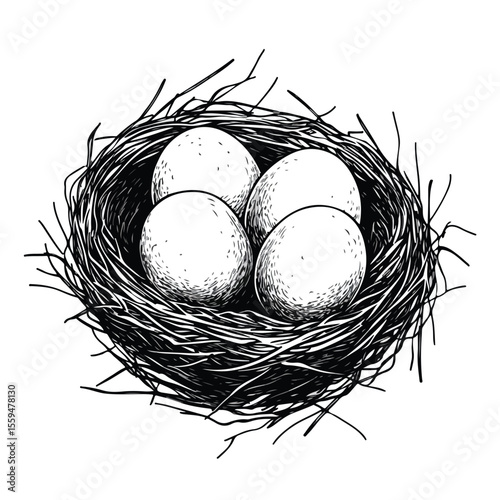 Cute Bird Nest with Three Eggs Cartoon Vector Illustration