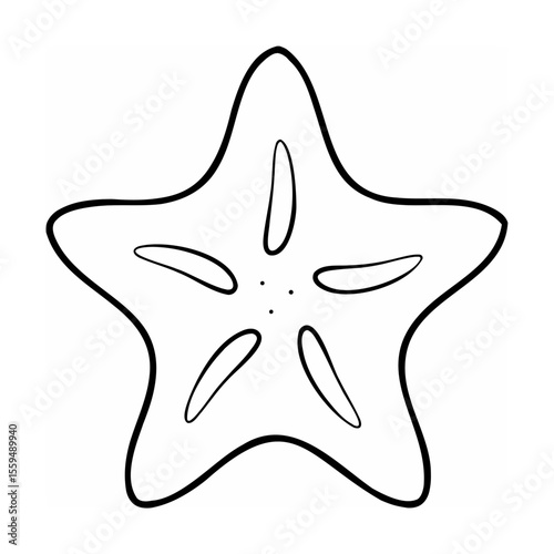Black and White Starfruit Slice Outline on White Background