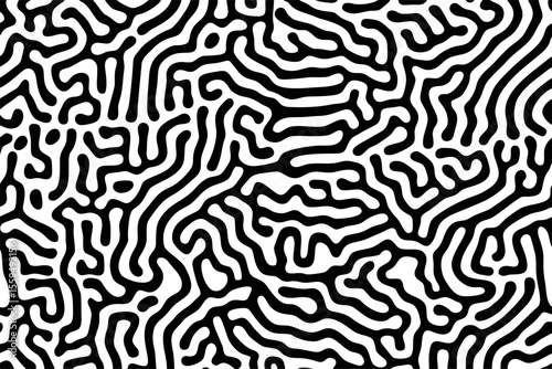 Complex Black and White Labyrinth