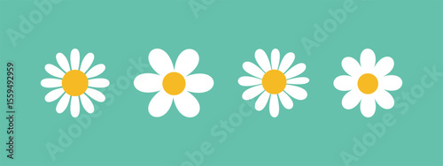 Chamomile flower vector set on green background. A collection of simple chamomile flower illustrations with white petals and yellow centers. Ideal for spring designs, botanical themes, or kids' illust