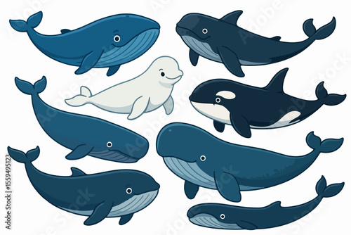 Vector Set Cartoon whales. Blue whale  humpback beluga killer bowhead orca cachalot underwater aquatic animal big fish sea ocean mammals marine under water giant swanky vector illustration