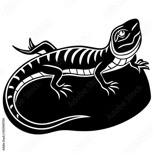 vector illustration of a cartoon lizard
