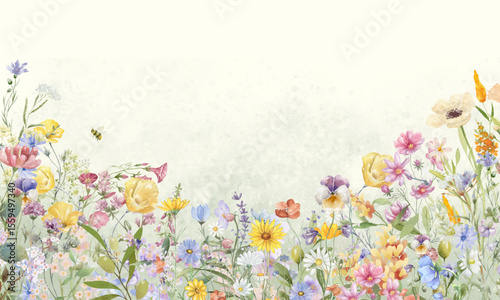 Watercolor meadow flowers border of poppy, chamomile, buttercup, campanula and sage. Hand painted floral card of wildflowers isolated on white background. Illustration for design, print, background	