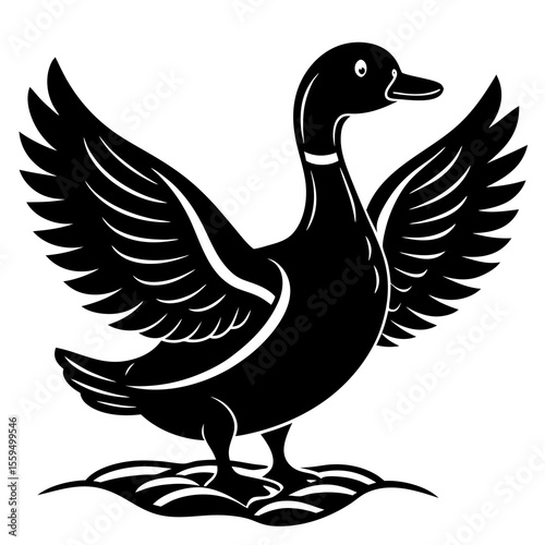 duck isolated on white background