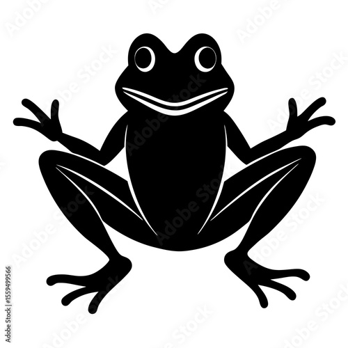 frog on white background