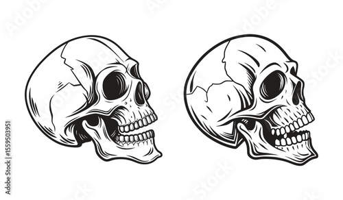 Skull Silhouette with Detailed Bone Structure Ideal for Tattoo Design Halloween Art and Dark Theme Illustration