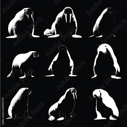 walrus silhouette set, Black & White silhouette set 