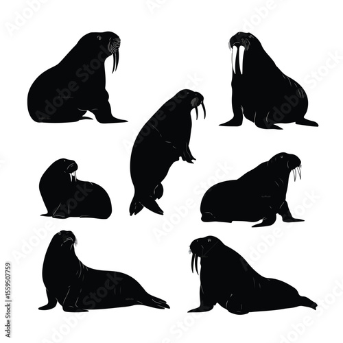walrus silhouette set, Black & White silhouette set 