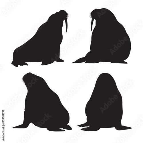 walrus silhouette set, Black & White silhouette set 