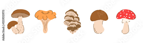 Set Flat Mushrooms Edible and Poisonous, Champignon, Birch Boletus, Chanterelles, Oyster Mushrooms, Fly Agaric Isolated on white Background. Autumn Vegetarian Elements in Modern Trendy Cartoon Style. 