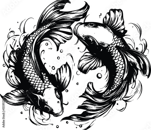 Elegant Koi Fish Pair: Intricate Vector Illustration, Dramatic Style