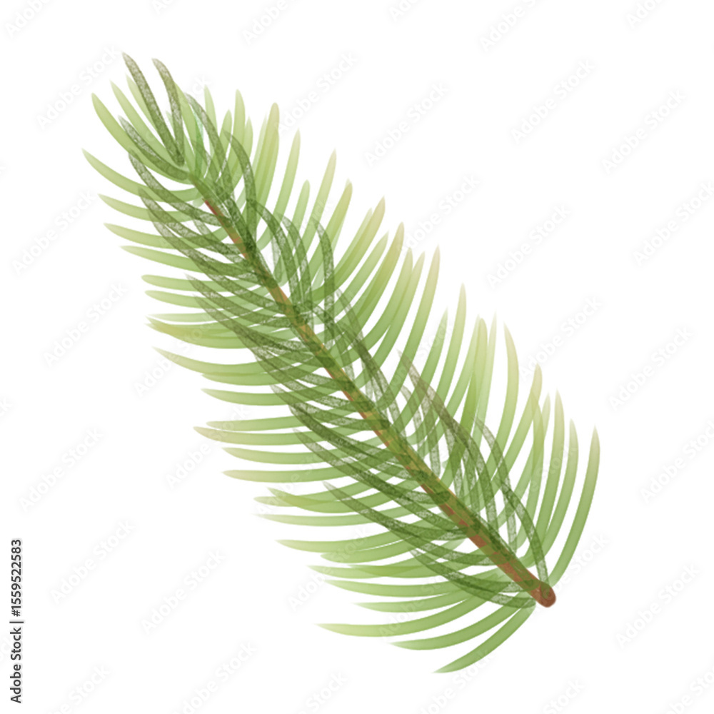 Fototapeta premium green and fresh pine needles illustration