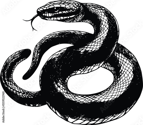 Vector illustration: Coiled snake, detailed ink drawing, dark, dramatic style