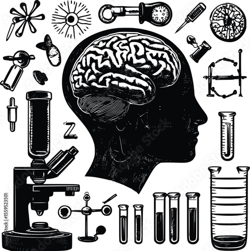 Vector illustration: Vintage scientific brain study, engraved style