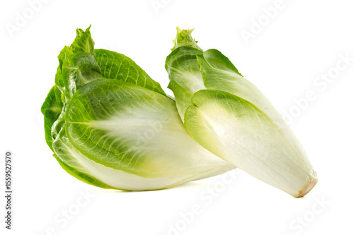 Two heads of fresh Belgian endive, a healthy and versatile vegetable, sit against white.