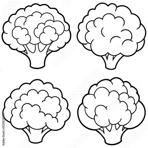 Cauliflower Coloring Page Icon