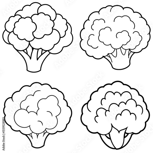 Cauliflower Coloring Page 