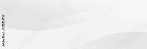 Minimalist vector with soft white and light gray flowing waves, creating a clean, elegant, and subtle background ideal for professional or modern designs.
