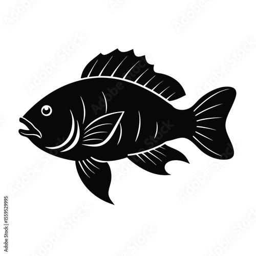 tilapia turning motion silhouette vector