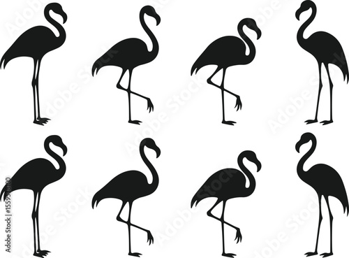 Collection of eight black flamingo silhouettes standing on one leg against a white background