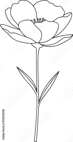 Elegant Black and White Flower Outline with Stem and Leaves